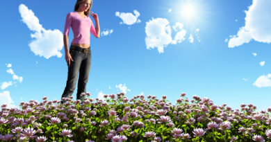 superwahm, wahm productivity