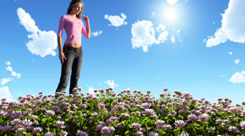 superwahm, wahm productivity