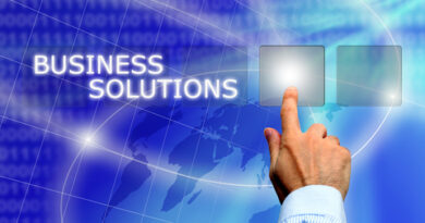 online security, wahm online business
