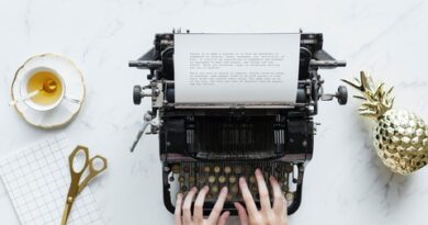 superwahm, online business ideas