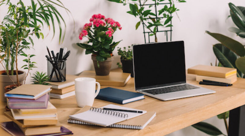 oxygen giving plants, improve productity working from home