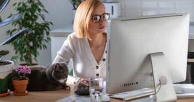 Are cats your perfect work at home partner
