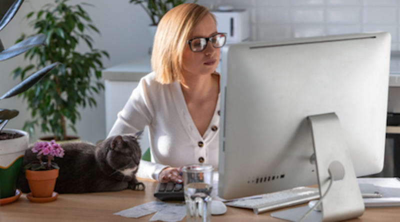 Are cats your perfect work at home partner