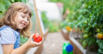 The benefit of home aquaponic system for the family