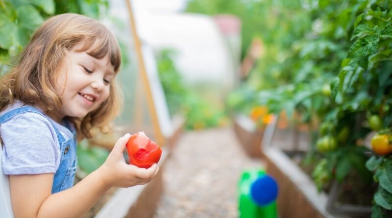 The benefit of home aquaponic system for the family