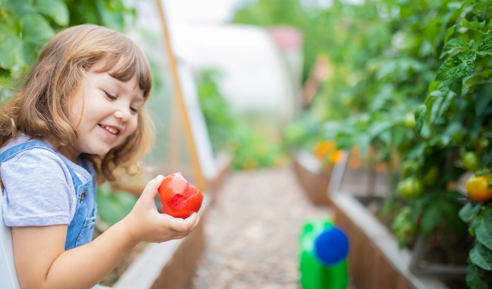 The benefit of home aquaponic system for the family