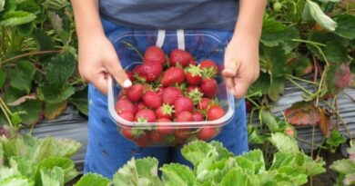 aquaponics for kids