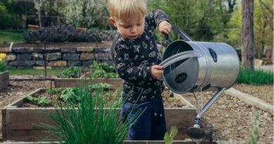 Best tips and creative ideas on gardening with kids