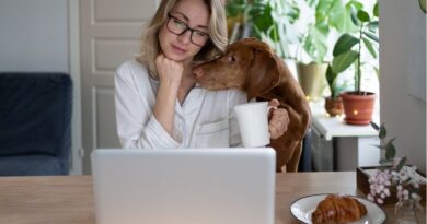 dog training for obedience