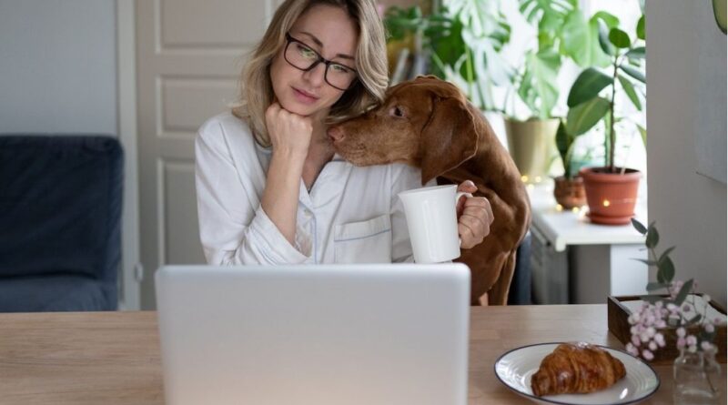 dog training for obedience