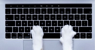 Cat parents working at home