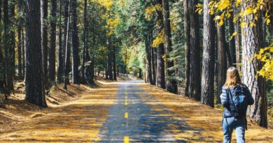Hiking benefits for mental health