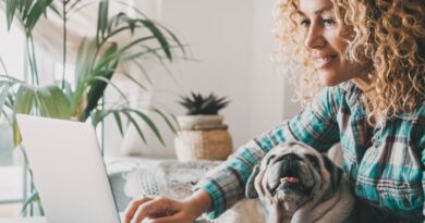 Keeping dogs stimulated when working from home