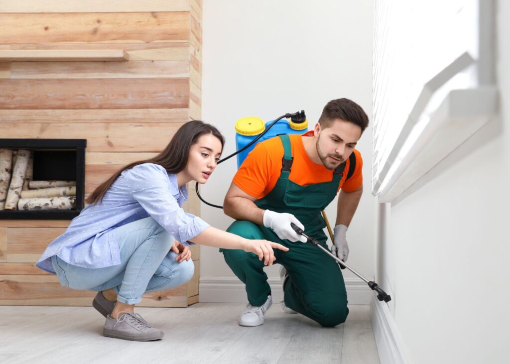 Pest control for the family home