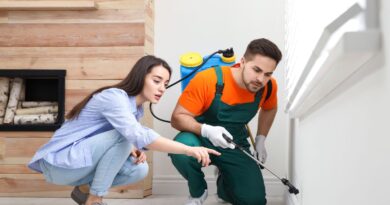 Pest control for the family home