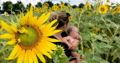 Making Money From Beekeeping