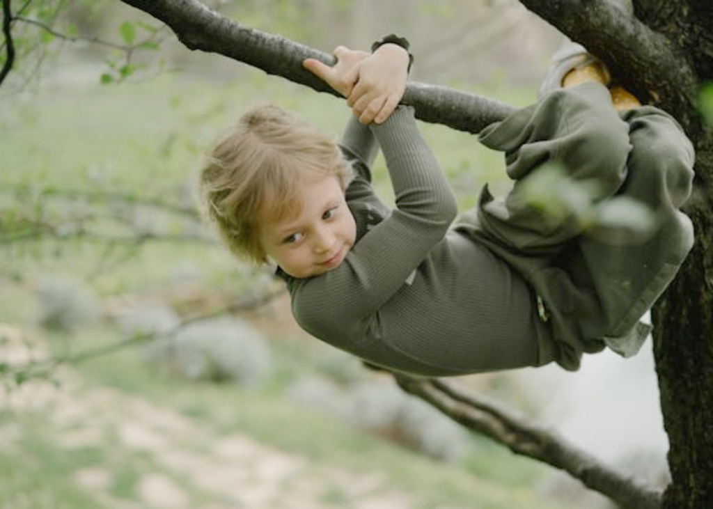 Child Friendly Tree Care