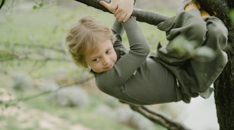 Child Friendly Tree Care