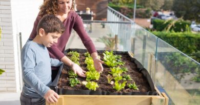 How To Create a Self Sufficient Lifestyle