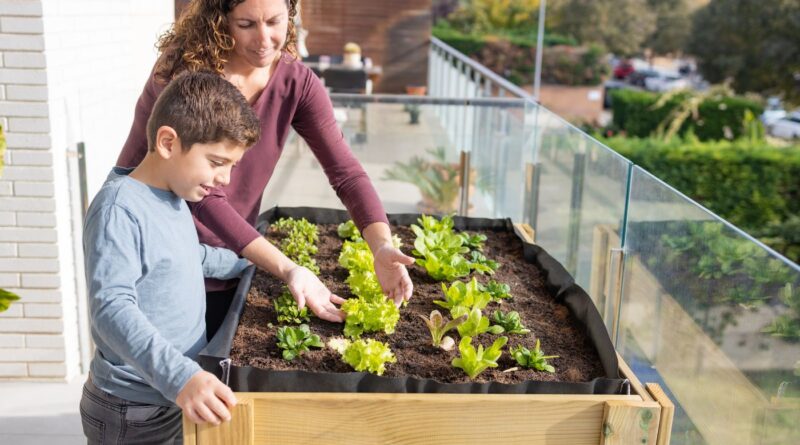 How To Create a Self Sufficient Lifestyle