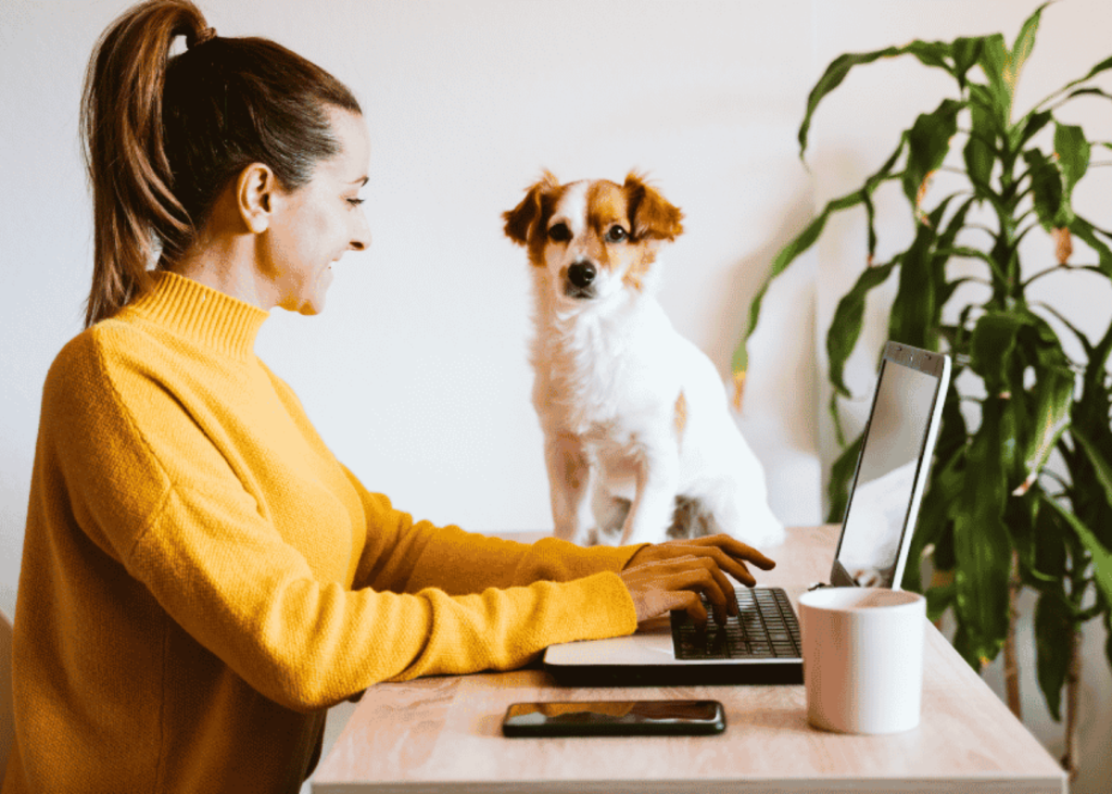 A Dog Mum Working Remotely With Her Dog Nearby