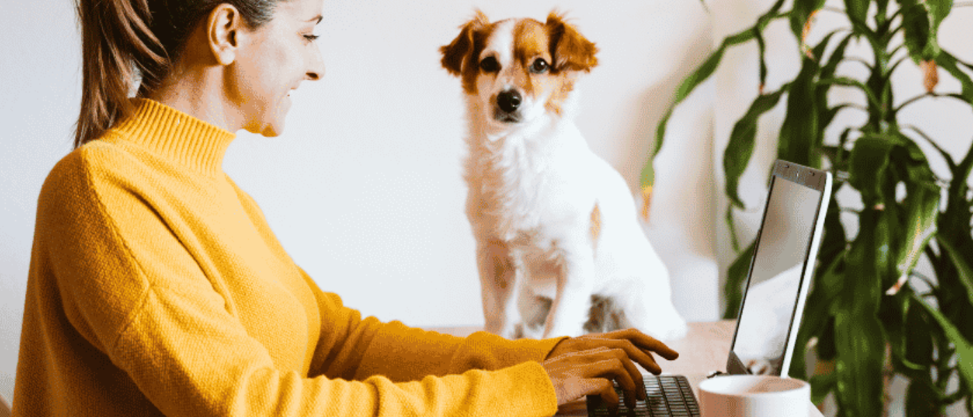 A Dog Mum Working Remotely With Her Dog Nearby