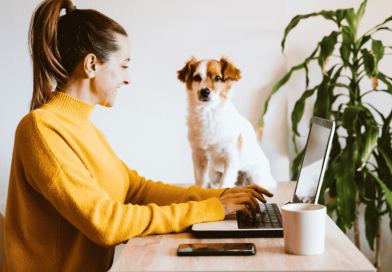 A Dog Mum Working Remotely With Her Dog Nearby