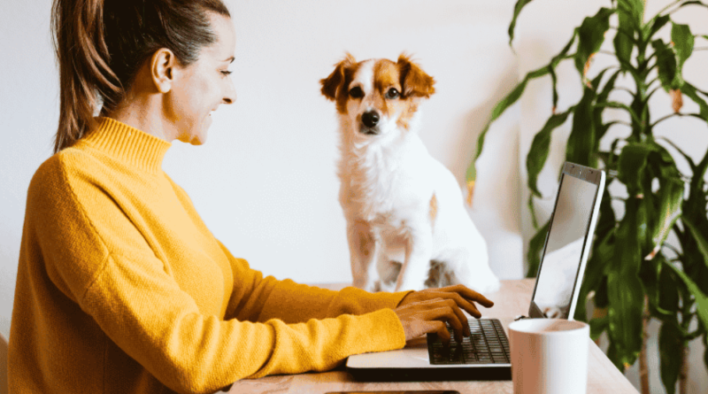 A Dog Mum Working Remotely With Her Dog Nearby